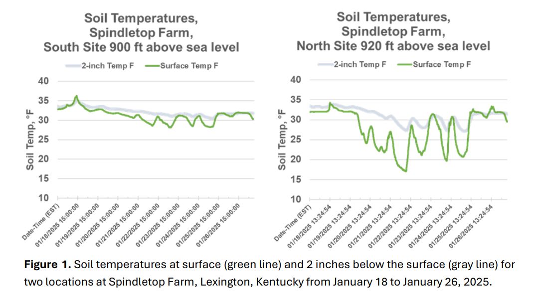 Soil temps at surface, winter 2025
