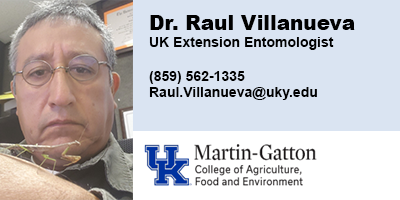Raul Villanueva